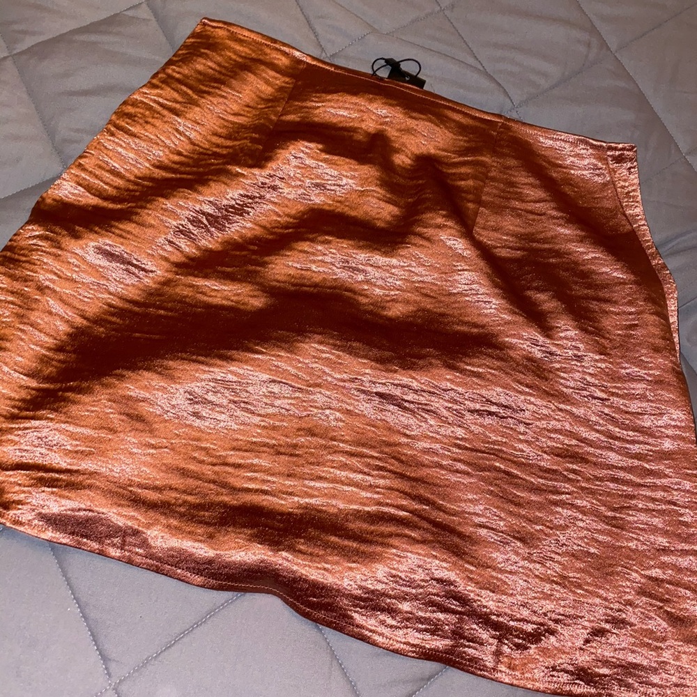 Rose Gold EXPRESS Skirt